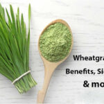 Wheatgrass Uses, Benefits, Side effects & more