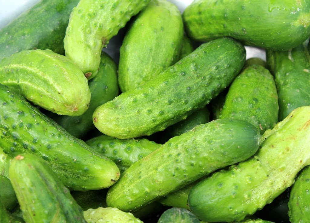Cucumber Benefits: Know the 5 Benefits of Cucumber, by Adopting Which You Remained Fit and Healthy