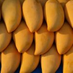 Mango : Health Benefits of Mango Uses and Side Effects