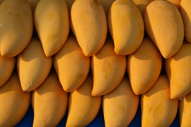 Mango : Health Benefits of Mango Uses and Side Effects