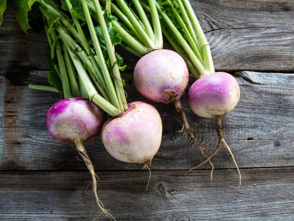 Turnip : Health Benefits and Nutritional Secrets of Turnips